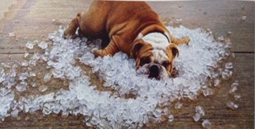 Yes, there ARE better ways to stay cool in Houstons' heat_sunbeltwindowfilms.com_Houston_Texas
